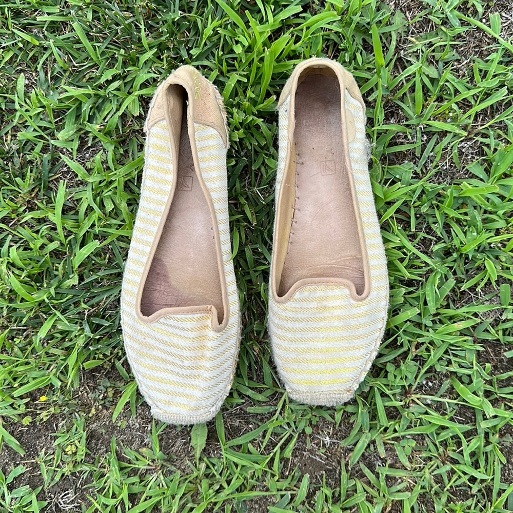 Sperry espadrilles